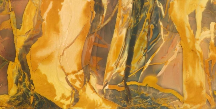 Picture of OREGON, OWYHEE RIVER VALLEY MORRISONITE JASPER