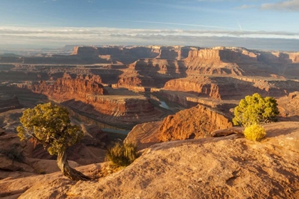 Picture of UTAH, DEAD HORSE POINT SUNRISE ON COLORADO RIVER