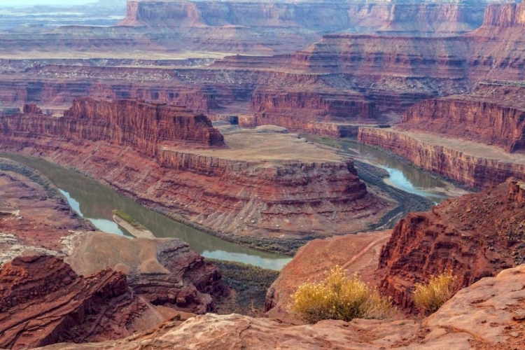 Picture of UT, DEAD HORSE POINT SP COLORADO RIVER GOOSENECK