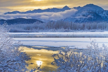 Picture of AK, CHILKAT SNOWY SCENIC ALONG THE CHILKAT RIVER