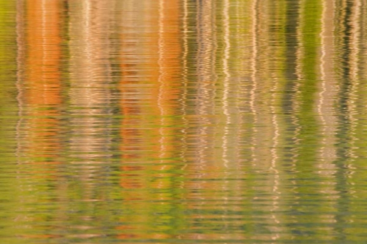 Picture of USA, IDAHO REFLECTIONS ON REDFISH LAKE