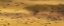 Picture of NEW MEXICO SNOW GEESE FLYING AT SUNSET