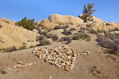 Picture of CA, JOSHUA TREE NP STONE HEART PATTERN
