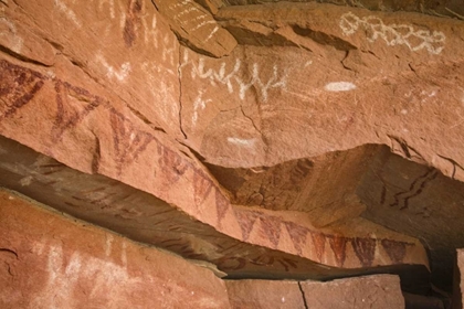 Picture of UT, CANYONLANDS NP ANCIENT PICTOGRAPHS