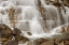 Picture of CANADA, BC, YOHO NP SHERBROOKE FALLS