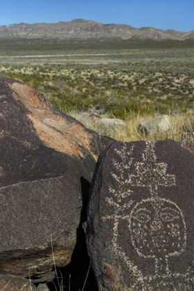 Picture of NEW MEXICO, PETROGLYPH ETCHINGS ON ROCK