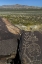 Picture of NEW MEXICO, PETROGLYPH ETCHINGS ON ROCK