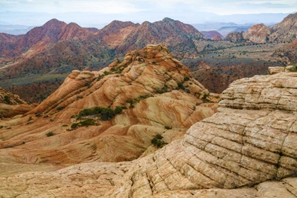 Picture of UTAH LANDSCAPE IN DIXIE NATIONAL FOREST