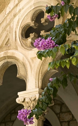 Picture of CROATIA, DUBROVNIK FLOWERS AND CHURCH ARCHWAY