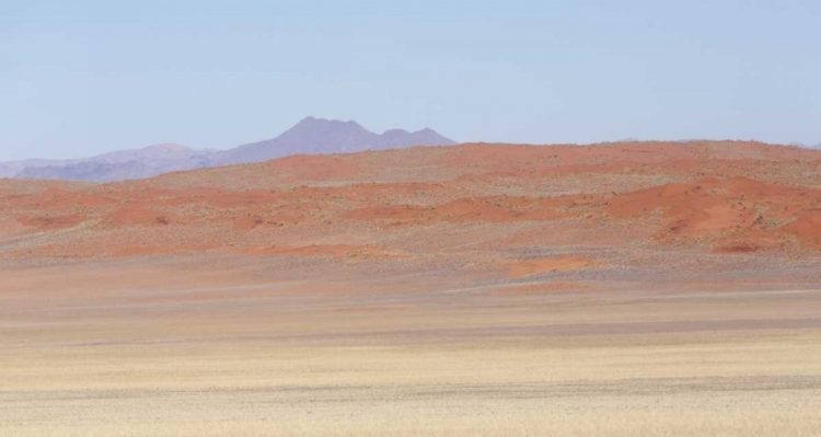 Picture of NAMIBIA, NAMIB DESERT ORANGE DESERT LANDSCAPE