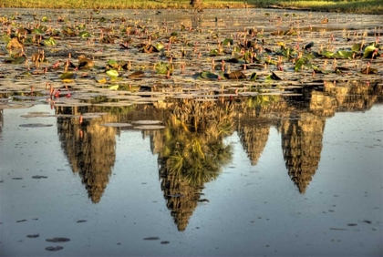 Picture of CAMBODIA, ANGKOR WAT REFLECTION OF TEMPLE RUINS