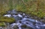 Picture of WA, ROCKY BROOK FALLS STREAM CASCADES OVER ROCKS