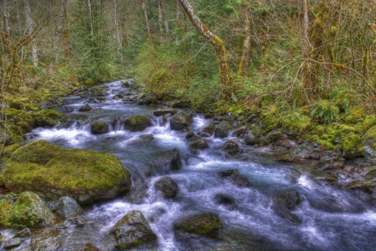 Picture of WA, ROCKY BROOK FALLS STREAM CASCADES OVER ROCKS