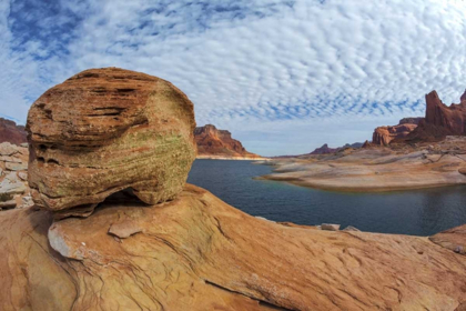 Picture of UTAH, GLEN CANYON NRA LANDSCAPE OF LAKE POWELL