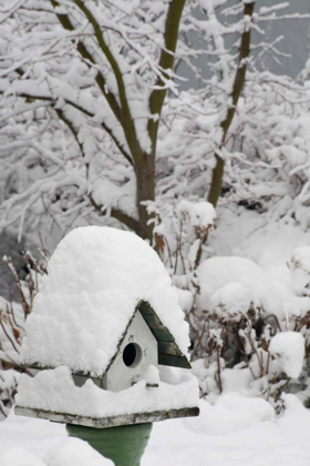 Picture of WASHINGTON, SEABECK BIRD HOUSE COVERED IN SNOW