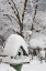 Picture of WASHINGTON, SEABECK BIRD HOUSE COVERED IN SNOW