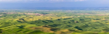 Picture of WASHINGTON, PALOUSE HILLS PANORAMA OF FARMLAND