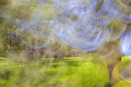 Picture of MEXICO, TECATE MOTION BLURRED OUTSIDE ABSTRACT