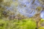 Picture of MEXICO, TECATE MOTION BLURRED OUTSIDE ABSTRACT