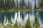 Picture of CANADA, BC, REVELSTOKE NP RAIN DOTS LAKE EVA