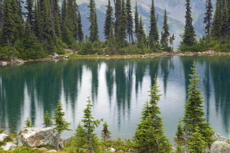 Picture of CANADA, BC, REVELSTOKE NP RAIN DOTS LAKE EVA