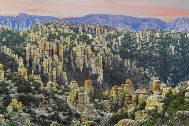 Picture of ARIZONA, CHIRICAHUA SUNRISE ON ROCKY LANDSCAPE