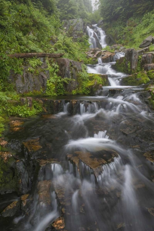 Picture of WA, MOUNT RAINIER NP CASCADES ON SUNBEAM CREEK