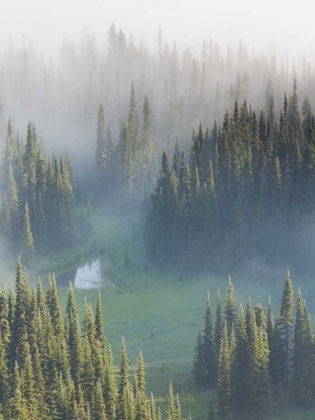 Picture of WA, MOUNT RAINIER NP OVERVIEW OF SURPRISE LAKE