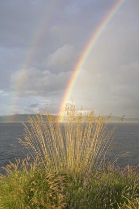 Picture of WA, SEABECK DOUBLE RAINBOW OVER THE HOOD CANAL