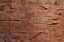 Picture of USA, VERMONT BIRCH BARK CLOSE-UP