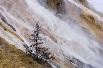 Picture of WYOMING MAMMOTH HOT SPRINGS WATERFALL