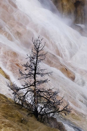Picture of WYOMING MAMMOTH HOT SPRINGS WATERFALL