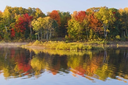 Picture of MI, AUTUMN IN BOND FALLS RECREATION AREA