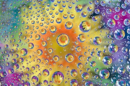 Picture of COLORADO, LAFAYETTE ABSTRACT WATER BUBBLES