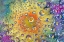 Picture of COLORADO, LAFAYETTE ABSTRACT WATER BUBBLES