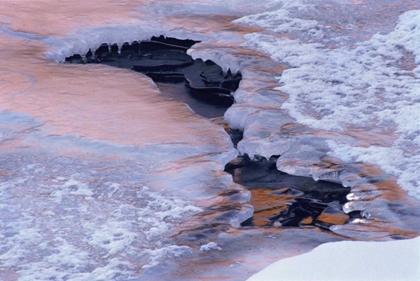 Picture of CO, LYONS WINTER PATTERN IN ST VRAIN RIVER