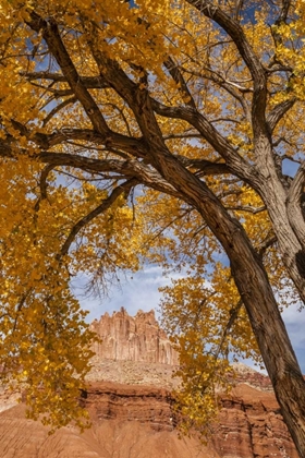 Picture of UT, CAPITOL REEF THE CASTLE ROCK FORMATION