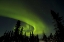 Picture of CANADA, MANITOBA AURORA BOREALIS AND TREES