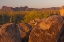 Picture of AZ, SONORAN DESERT SAGUARO AND PETROGLYPHS