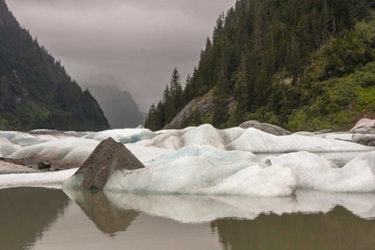 Picture of ALASKA, TONGASS NF ICEBERGS IN SHAKES LAKE