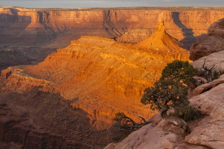 Picture of UTAH, DEAD HORSE POINT SP SUNRISE ON CANYON