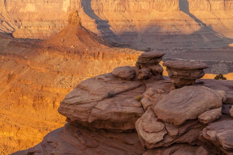 Picture of UTAH, DEAD HORSE POINT SP SUNRISE ON CANYON