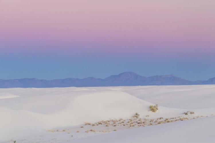 Picture of NEW MEXICO, WHITE SANDS NM DESERT AT SUNSET