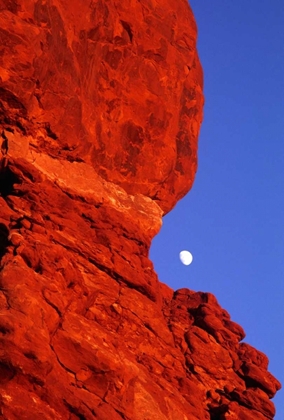 Picture of USA, UTAH, ARCHES NP MOONRISE OVER BALANCED ROCK