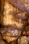 Picture of CALIFORNIA, LITTLE PETROGLYPH CANYON PETROGLYPHS