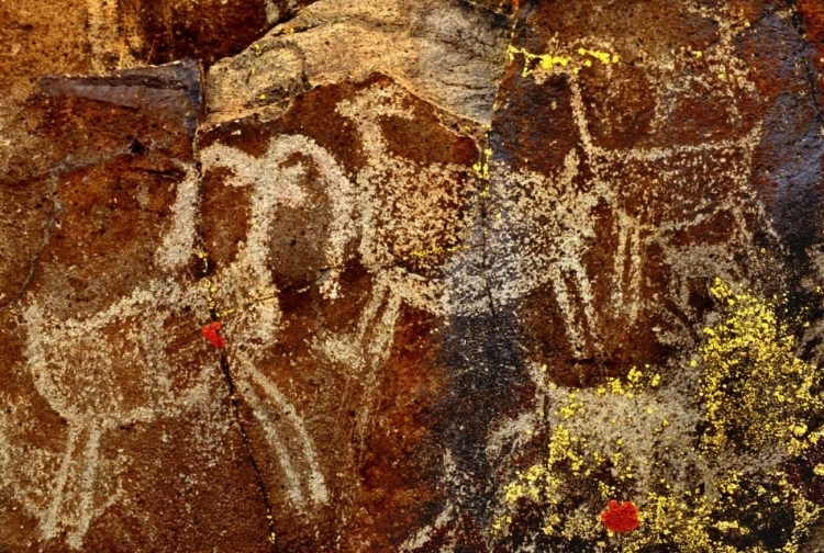 Picture of CALIFORNIA, LITTLE PETROGLYPH CANYON PETROGLYPHS