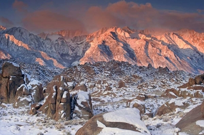 Picture of CA, EASTERN SIERRAS SUNLIGHT ON WINTER LANDSCAPE