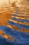 Picture of UTAH, GLEN CANYON REFLECTION IN LAKE POWELL