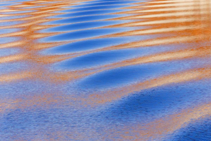 Picture of UTAH, GLEN CANYON REFLECTION IN LAKE POWELL