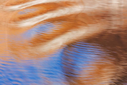 Picture of UTAH, GLEN CANYON REFLECTION IN LAKE POWELL